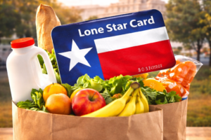 Texas SNAP Application Status Check: How to Track Your SNAP Benefits