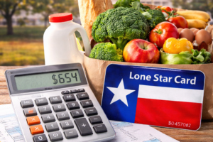 Texas SNAP Benefit Calculator: Estimate Your SNAP Benefits in Texas