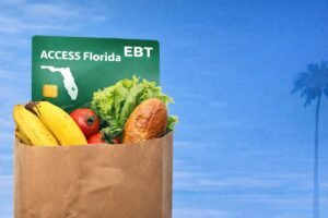 How Much SNAP Benefits Florida 2026: Maximum Amount, Income Limits, and Calculation Guide